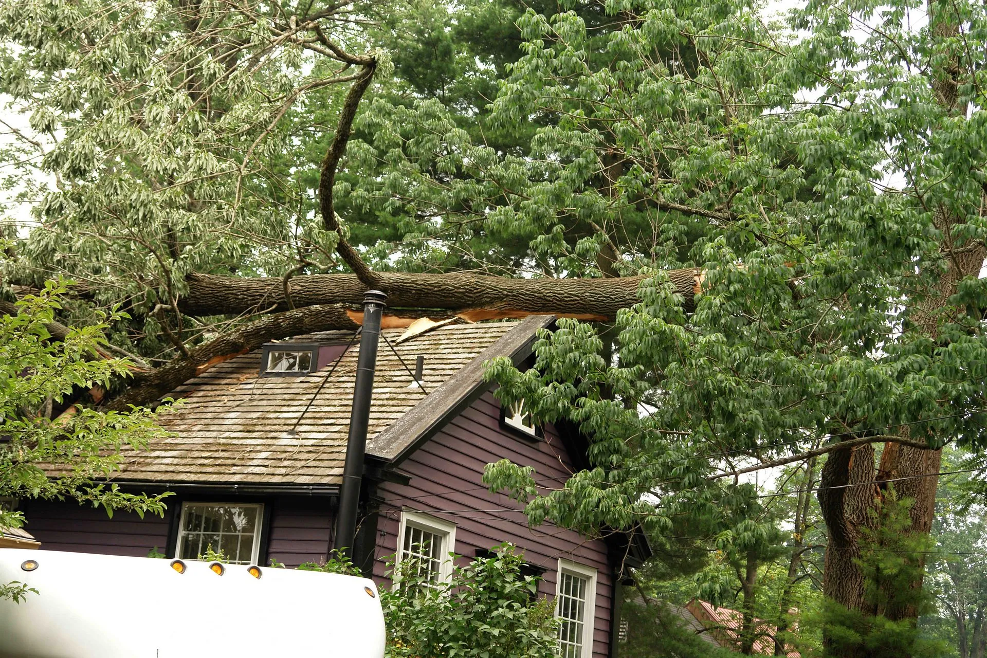 emergency roof repair portland or
