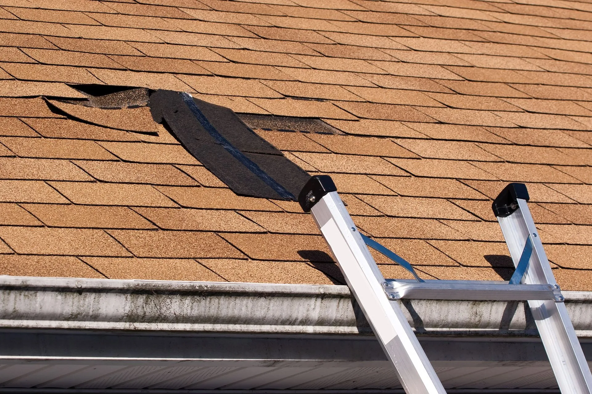 roof leak detection company