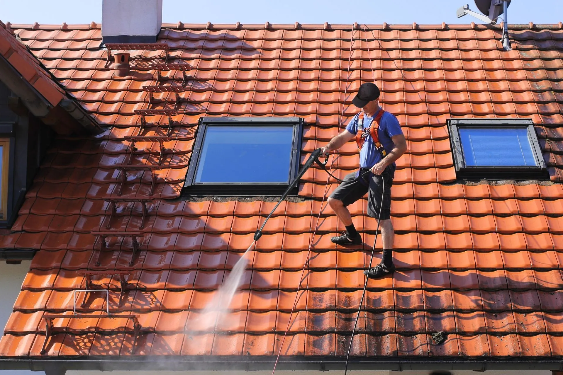 roof moss removal in portland or